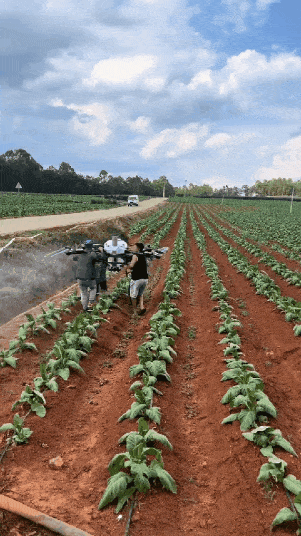 6c37276cfbd2a51d5b4fca712ce9a6314caf614f_20260607132350.gif