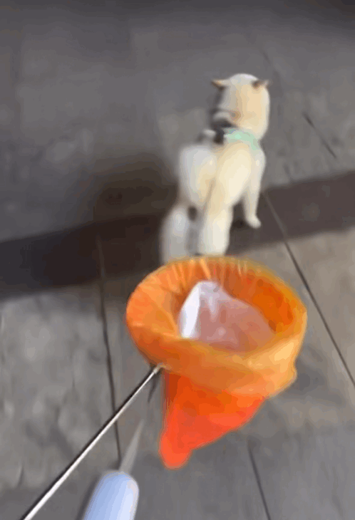 IMB_KE627n.gif