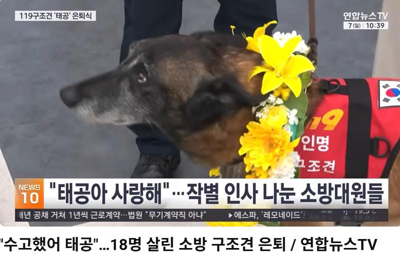 화면 캡처 2026-06-07 143353.jpg