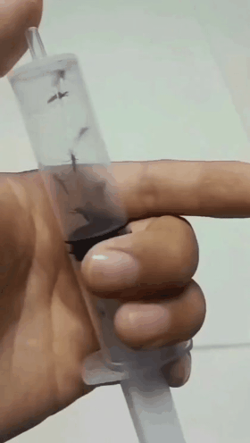 GIF_20260608_101642_832.gif