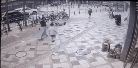 세종시.gif