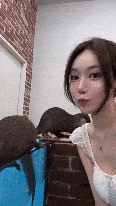 1000060060.gif