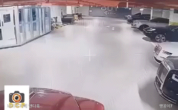 20260323＿112104.GIF