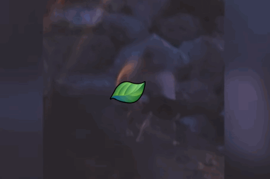 0000495153_002_20260609060008205.gif