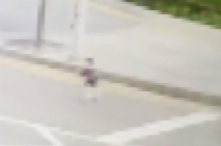 0005370247_001_20260611061016037.gif