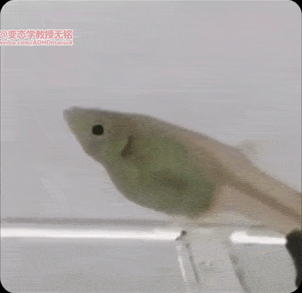 i014126349355.gif