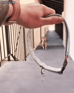 45.gif