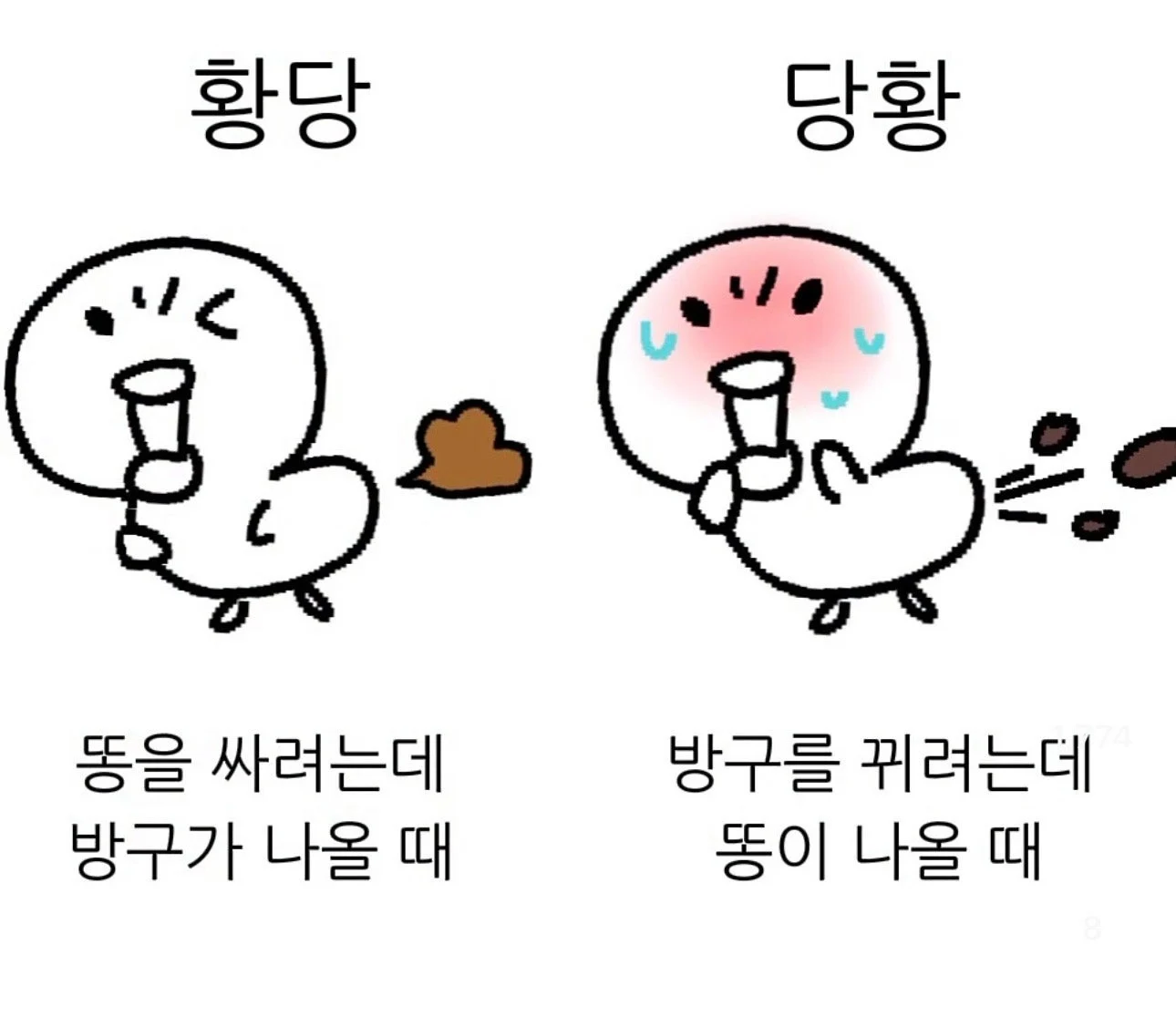 95d9c23e6fe1057ed718f6e6a7822fb1.webp