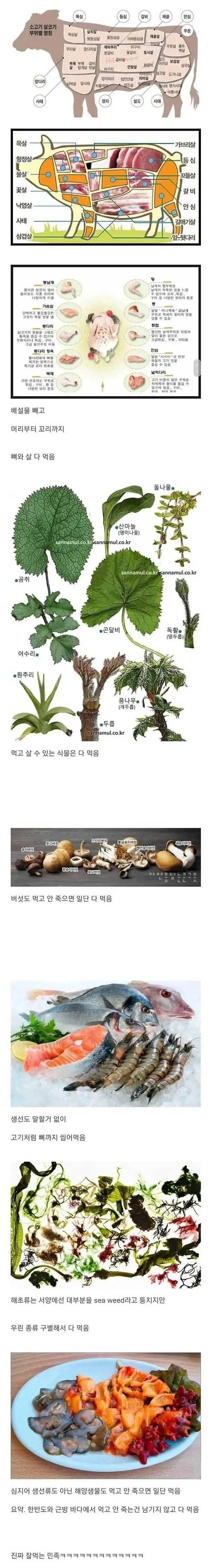 1.webp
