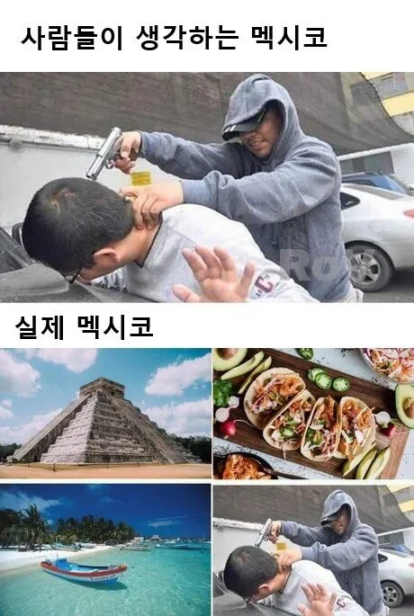 fe1cf081446a6e0449b694618b6f38de.webp