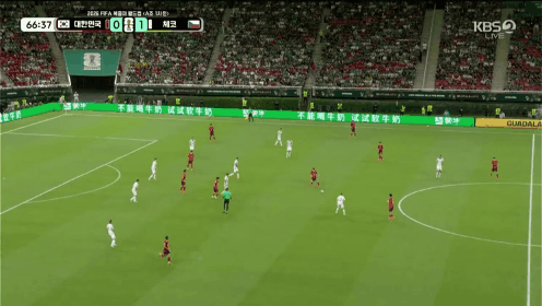 GIF_20260612_122659_024.gif