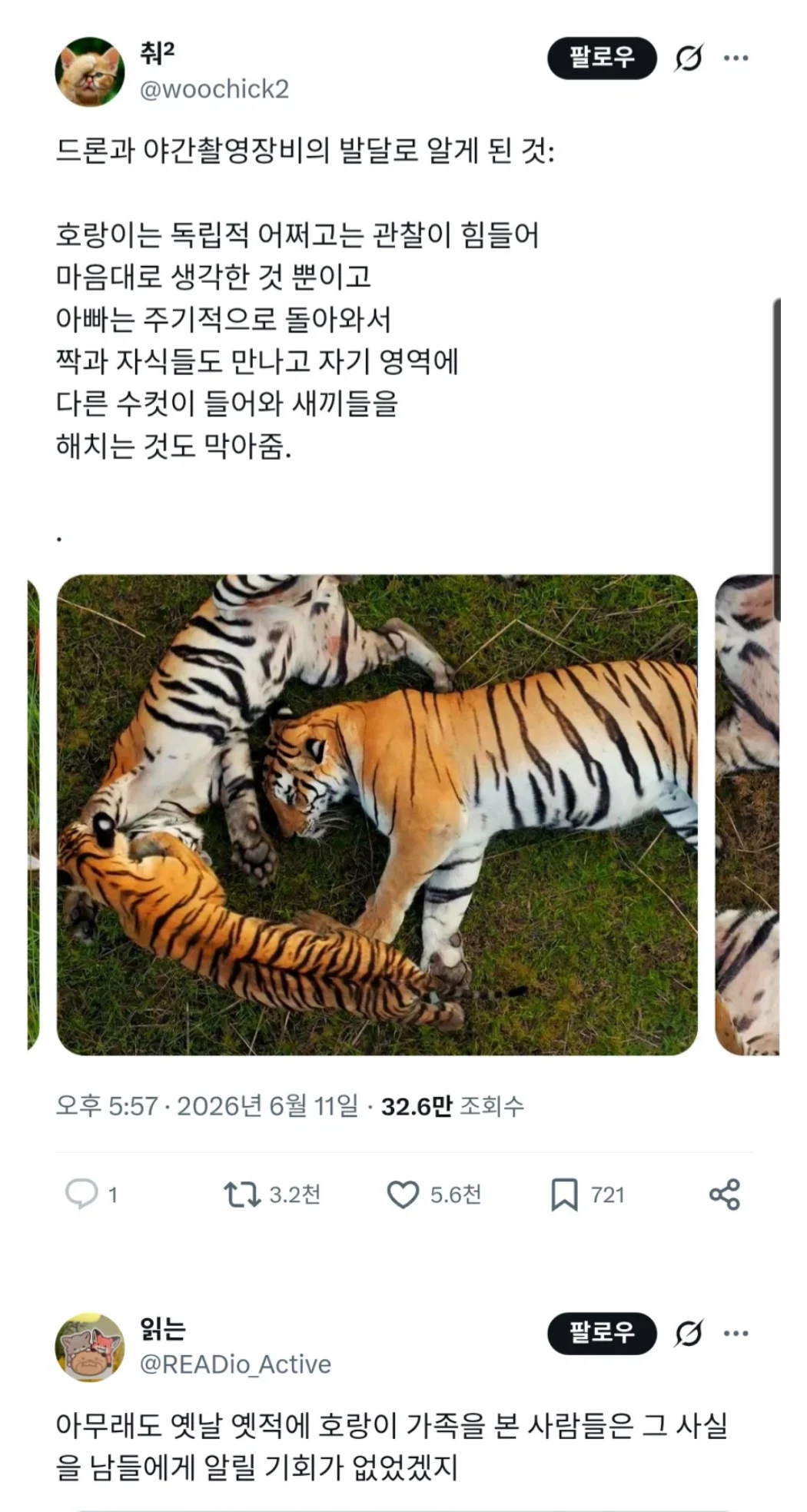 e956d5333e344d442b28c43e491107a0.webp