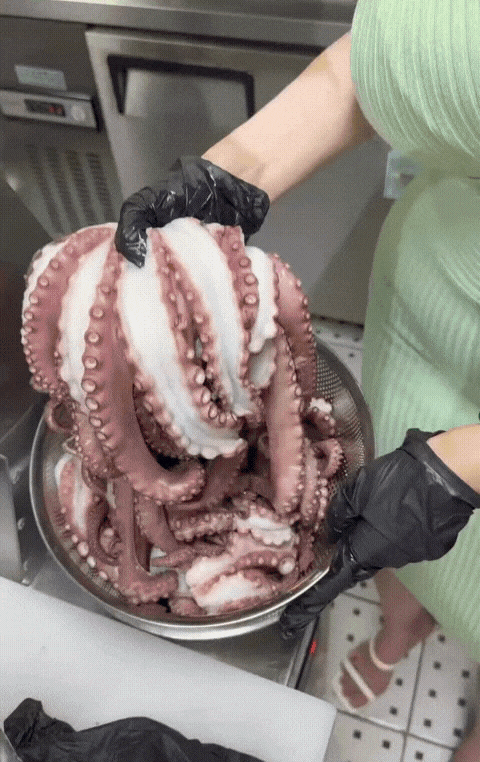 GIF_20260612_133530_592.gif