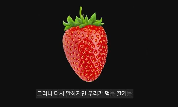 94a6de73fc0af6af8b610dd8424da6fa.webp