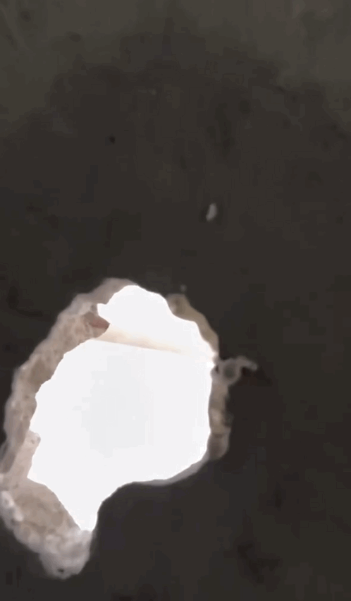 IMB_nKb5IZ.gif