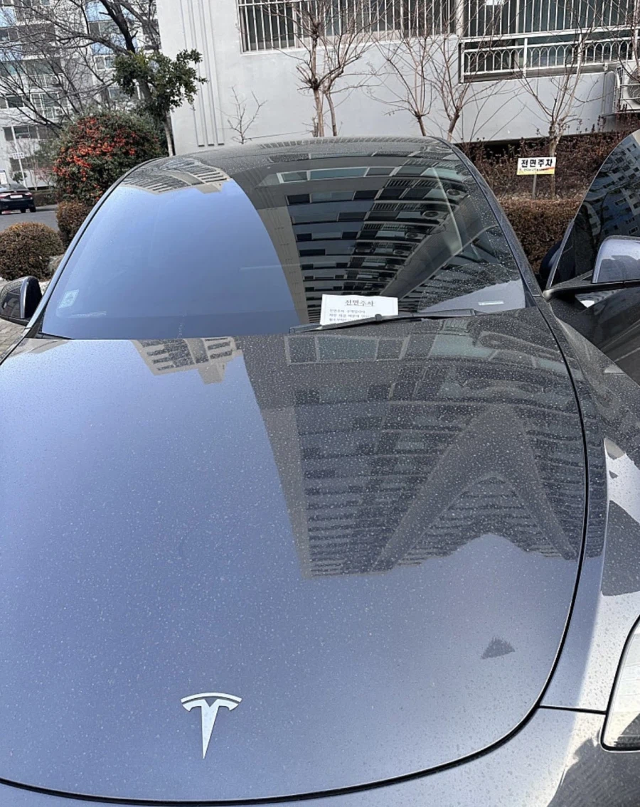 19bc93982c259e04e.webp