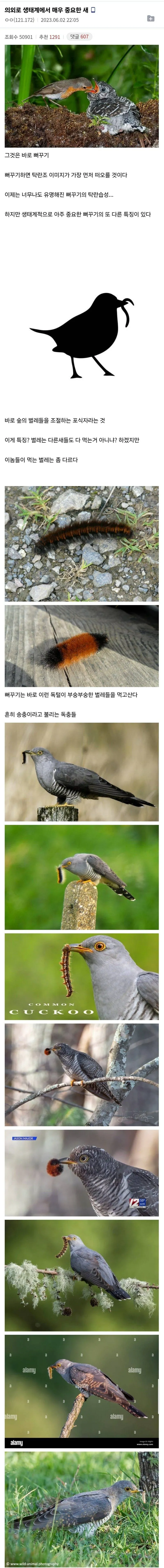 1.webp