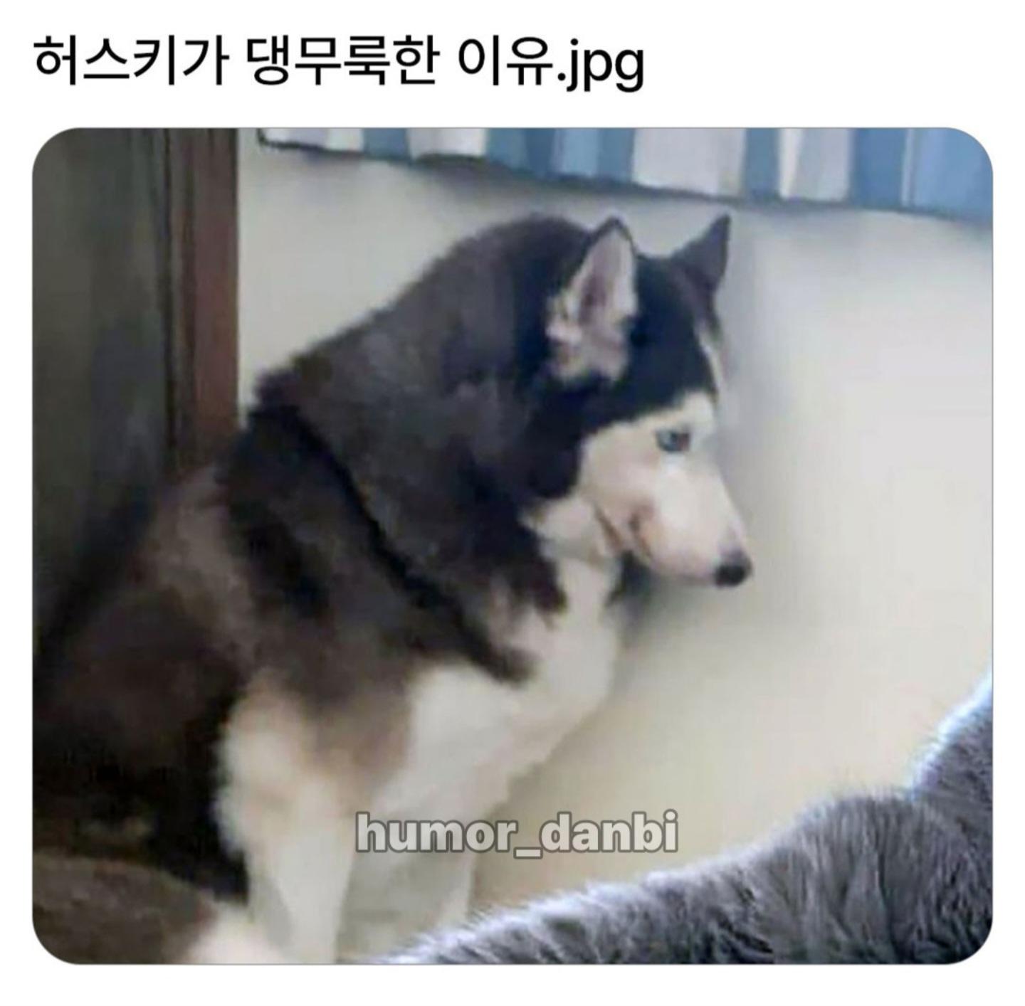 1000098386.jpg