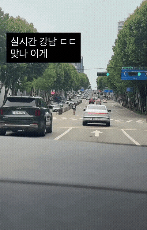 GIF_20260615_080729_184.gif