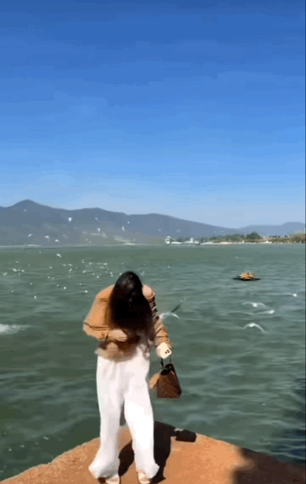 IMB_GnCAA8.gif