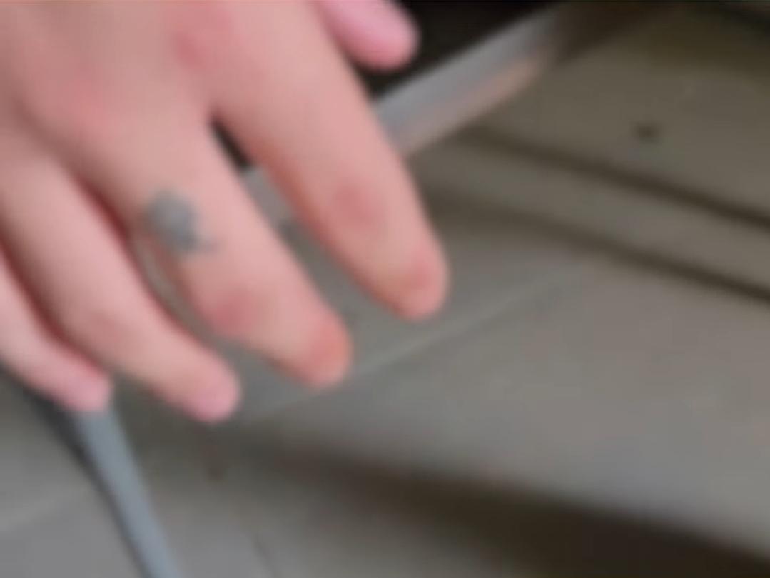 1000139261.jpg