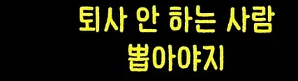 12.webp