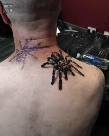 Ago5d57da201df4c.gif