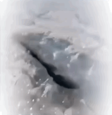 IMB_CH1hdh.gif