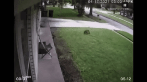 GIF_20260617_081714_535.gif