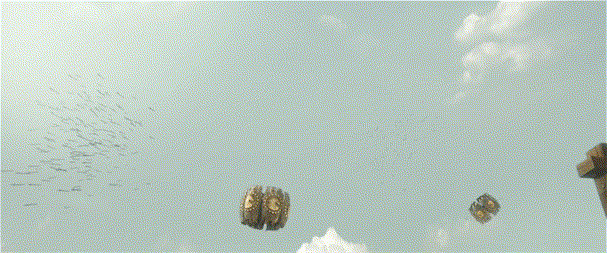03.gif