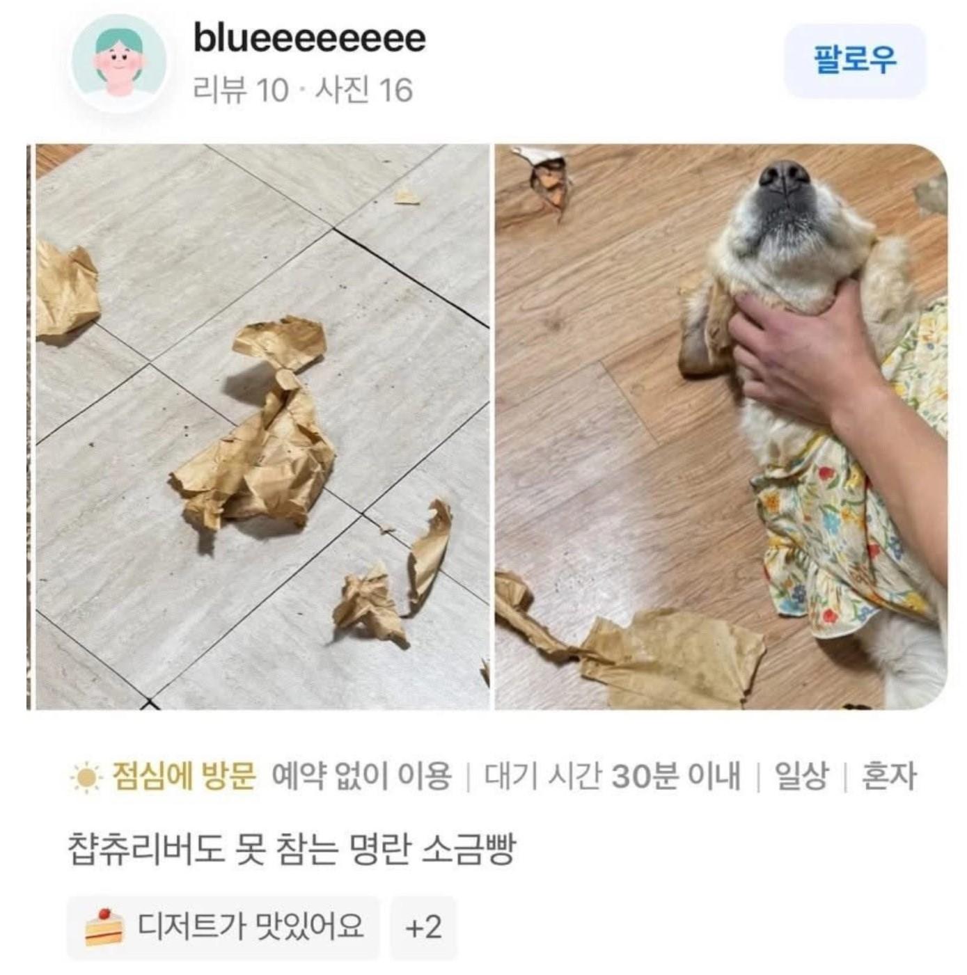 화면 캡처 2026-06-17 141008.jpg