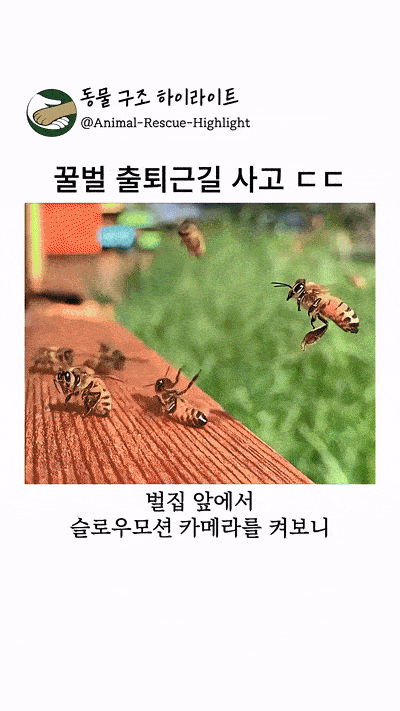 1000063107.gif