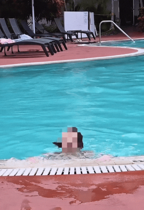 GIF_20260618_102102_953.gif