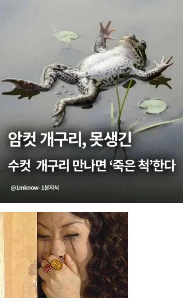 1c1cc15f012badf0e23288d1e6b31d3e.webp