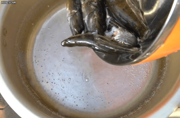 IMG_1783.gif