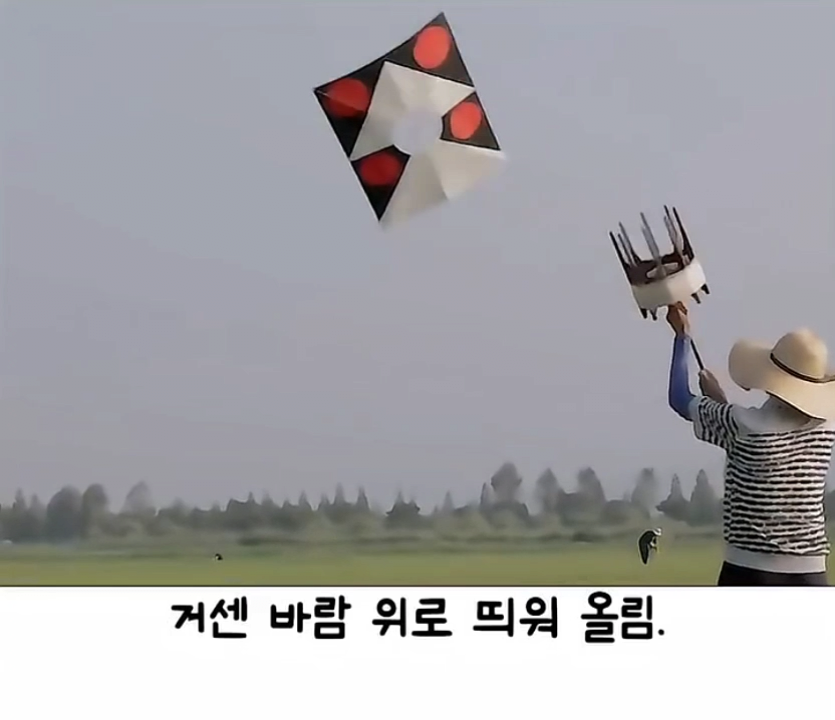 image (14).png