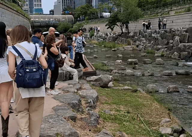 4ab510c703176c94e757e1dcac3958fed75e553c_20260619075942.gif