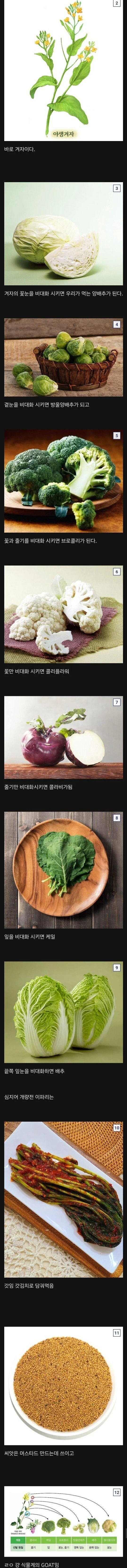 1.webp