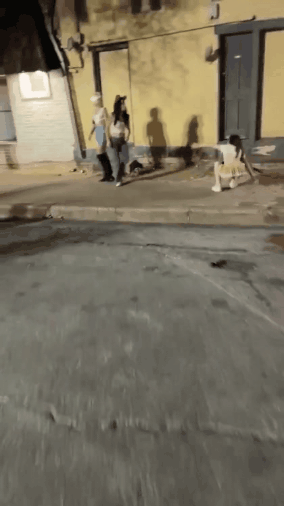 GIF_20260619_140902_391.gif