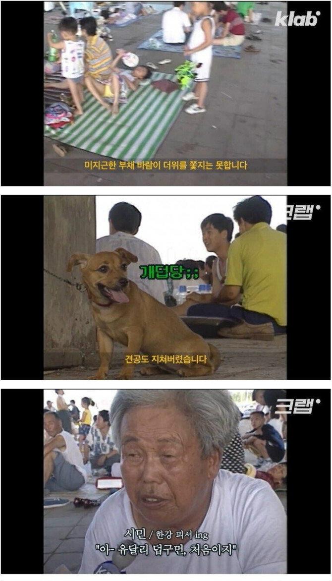 1000098782.jpg