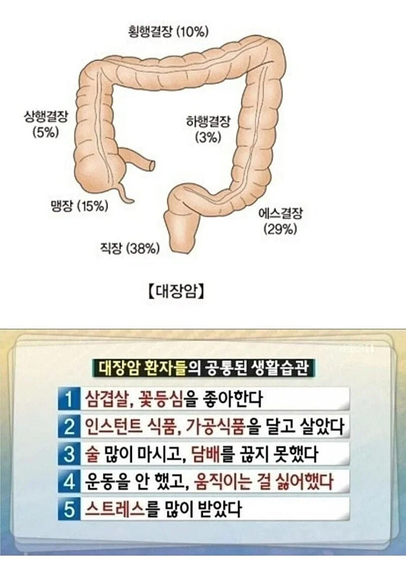 bccc29dd5980ef3028ed638196abd720.webp
