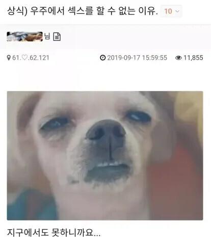 1781884190_819827283.jpg