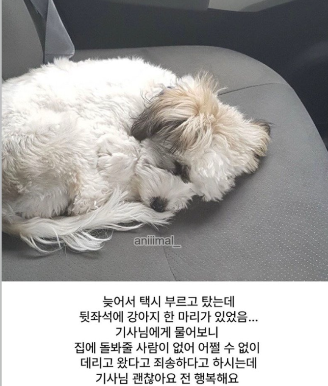 a3b5b1e609089451e86b36cdabce2d8ea7773962_20260621100909.png