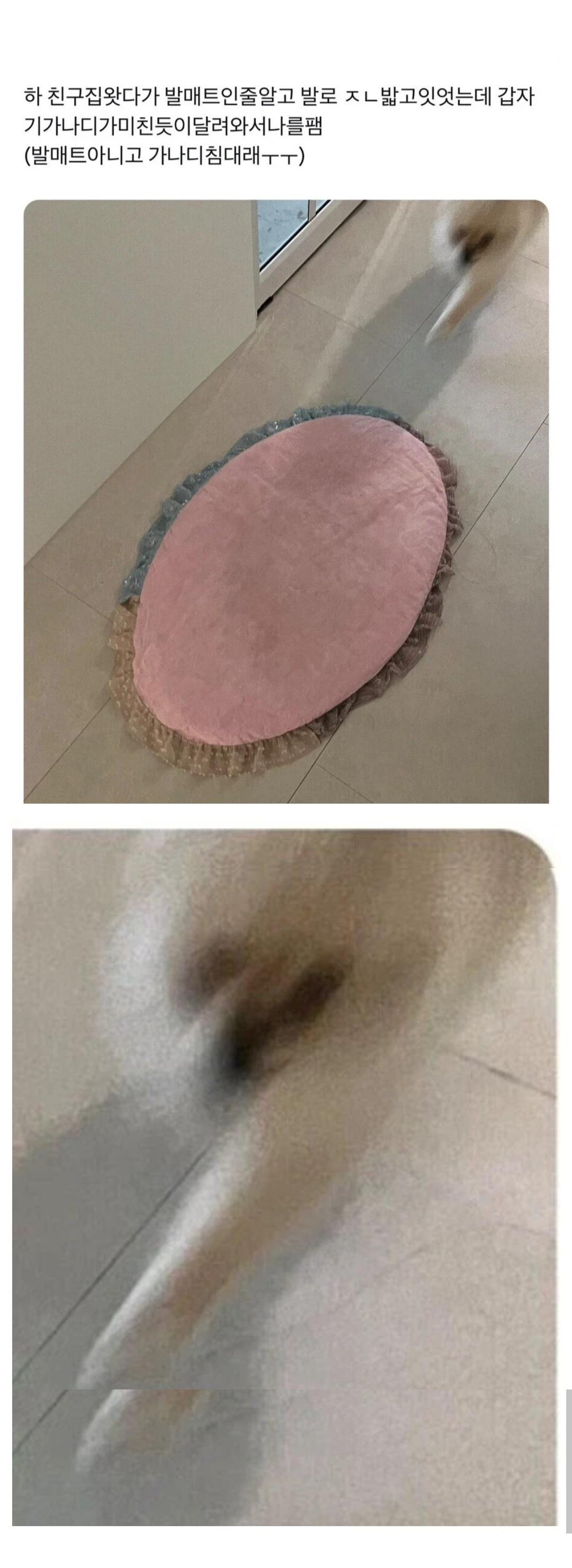 1000099270.jpg