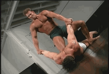 i3354199595.gif