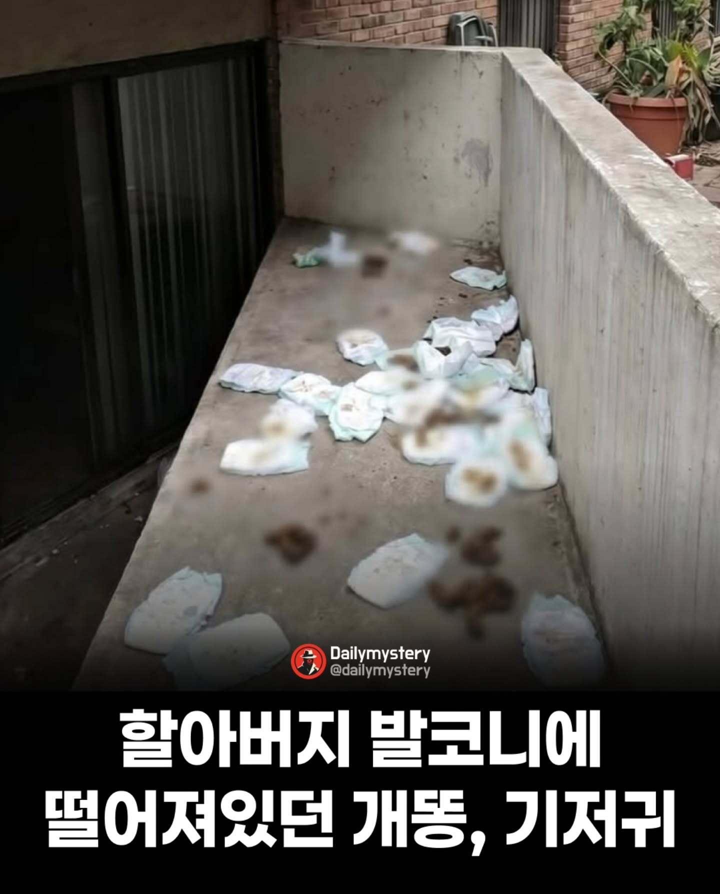 개또.jpg