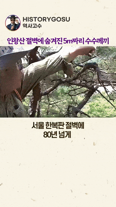 1000065819.gif