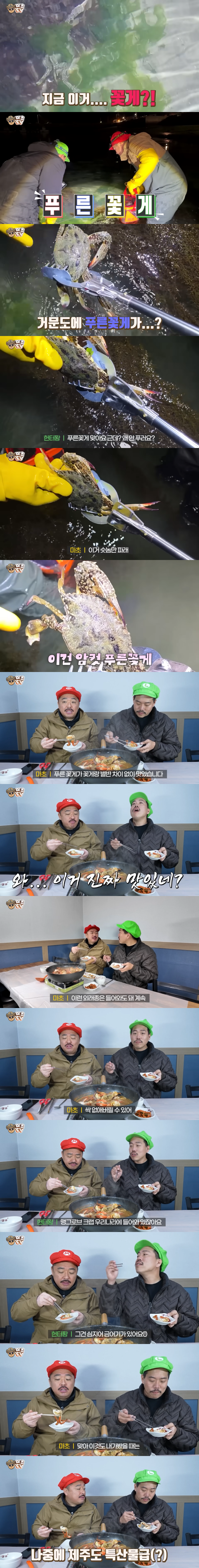 클릭하시면 원본 이미지를 보실 수 있습니다.