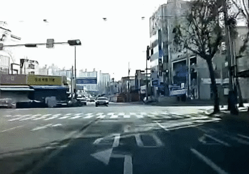 IMG_1056.gif
