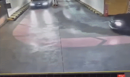 IMG_1058.gif